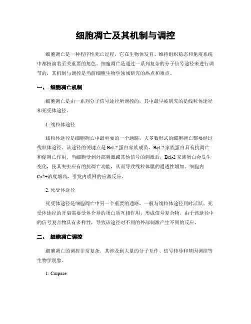 细胞凋亡及其机制与调控