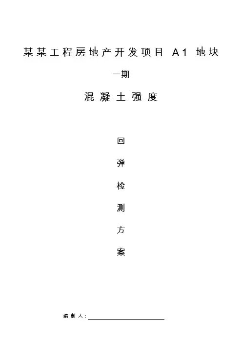 回弹检测技术方案