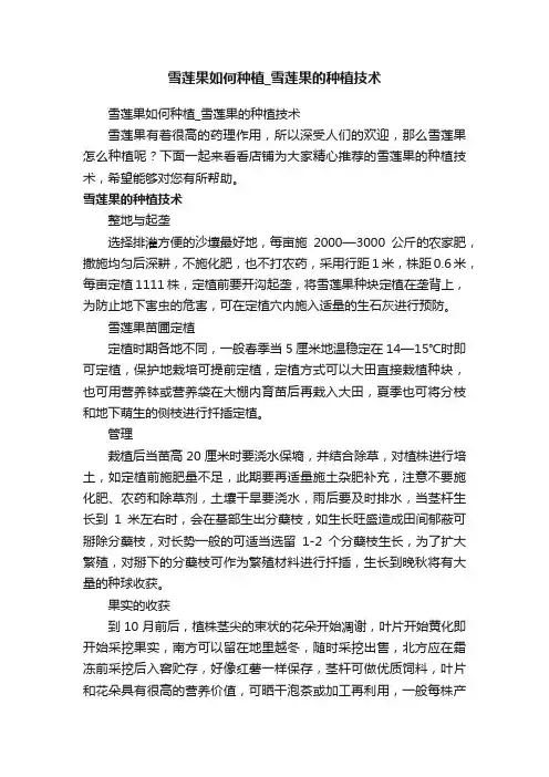 雪莲果如何种植_雪莲果的种植技术