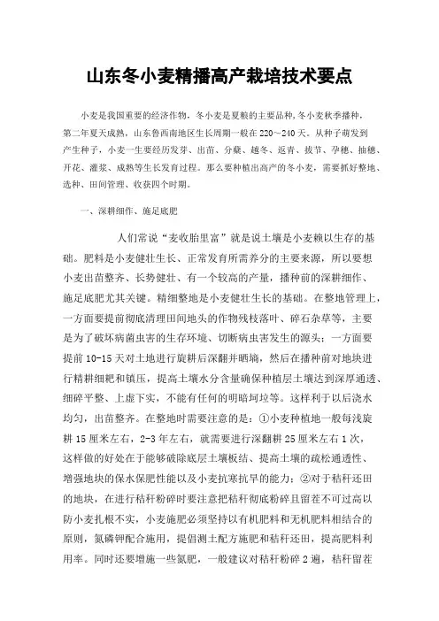 山东冬小麦精播高产栽培技术要点