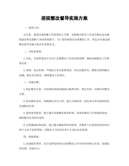 巡视整改督导实施方案