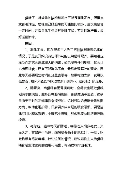 猫吐了一堆软化的猫粮和黄水