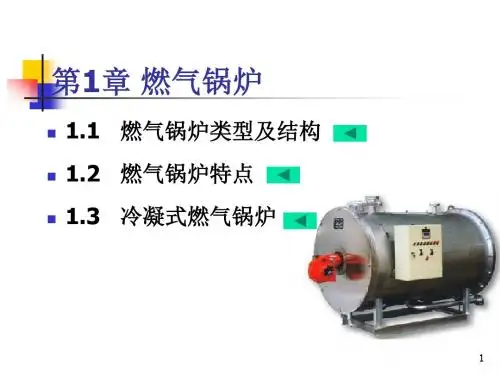燃气锅炉ppt课件
