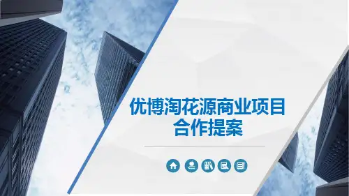 花源镇优博桃花源商业项目提案