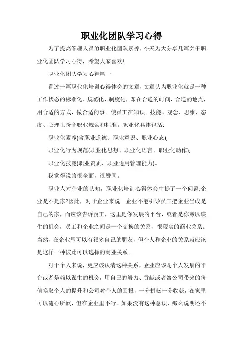 职业化团队学习心得