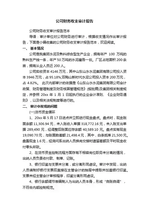 公司财务收支审计报告