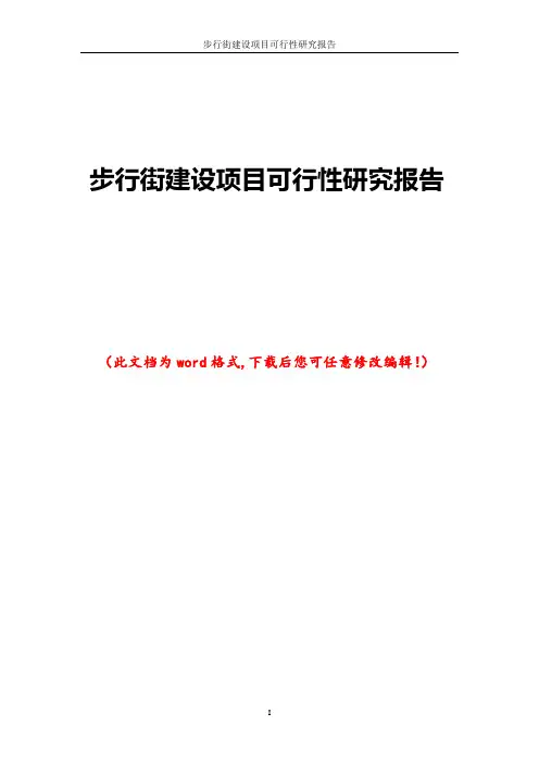 步行街建设项目可行性研究报告
