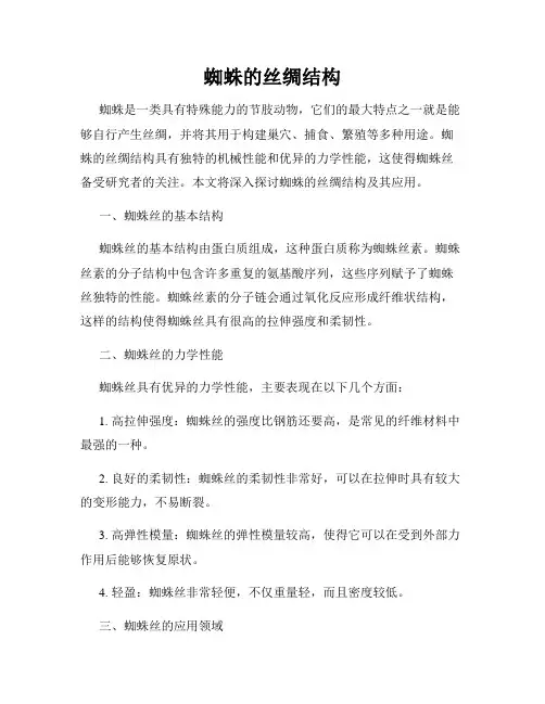 蜘蛛的丝绸结构