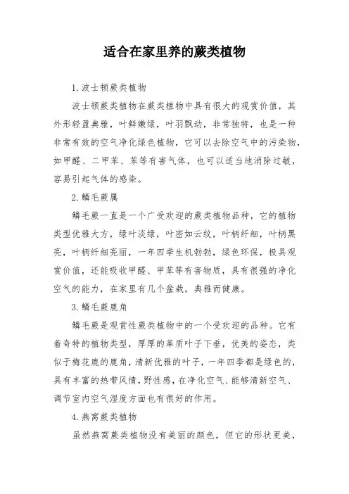 适合在家里养的蕨类植物