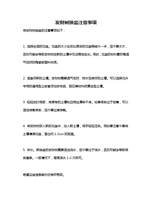 发财树换盆注意事项