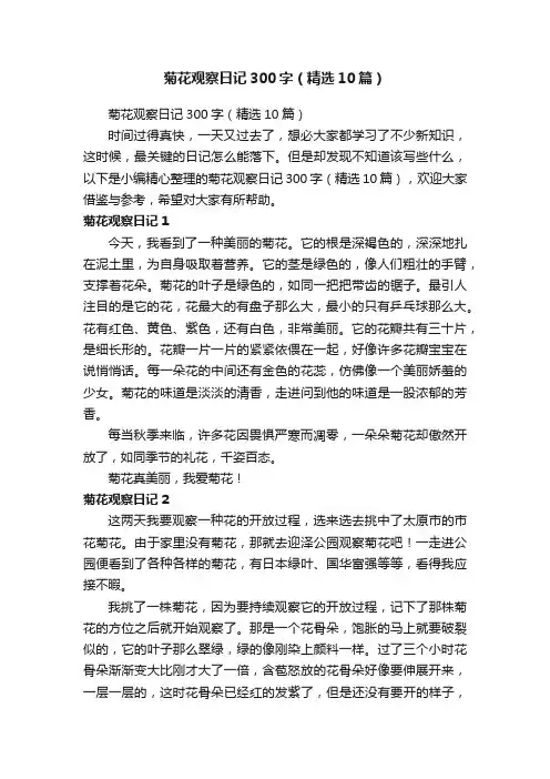 菊花观察日记300字（精选10篇）
