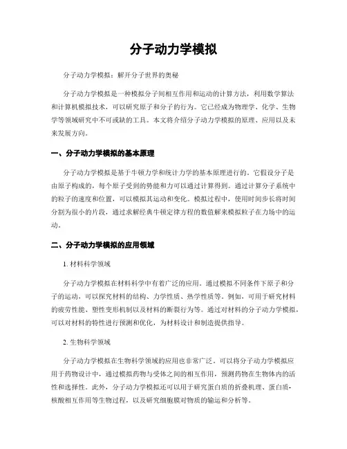 分子动力学模拟