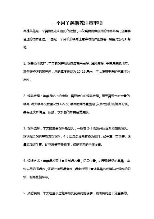 一个月羊羔喂养注意事项