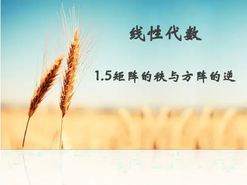 1.5矩阵的秩与方阵的逆