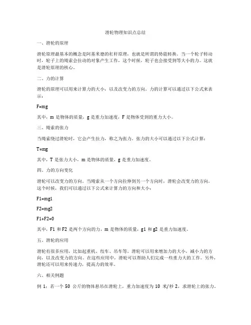 滑轮物理知识点总结
