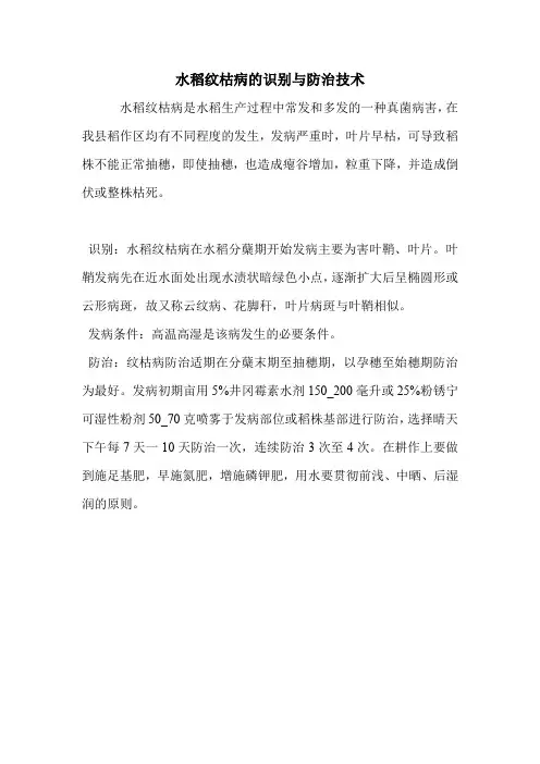 水稻纹枯病的识别与防治技术