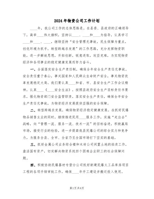2024年物资公司工作计划（二篇）