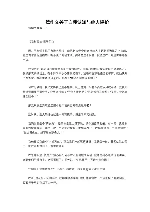 一篇作文关于自我认知与他人评价