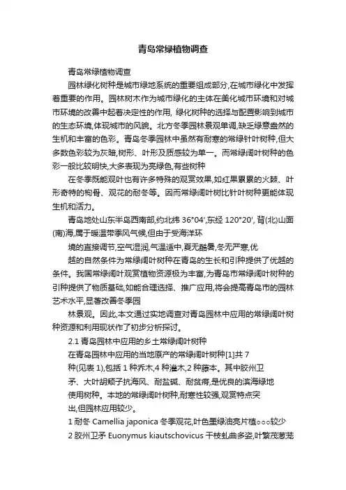 青岛常绿植物调查