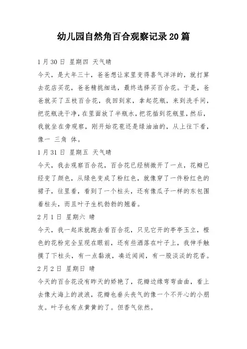 幼儿园自然角百合观察记录20篇