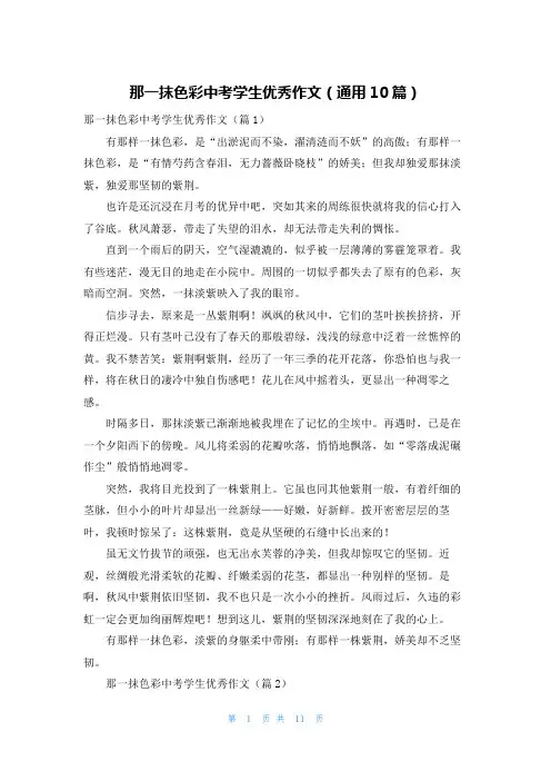 那一抹色彩中考学生优秀作文(通用10篇)