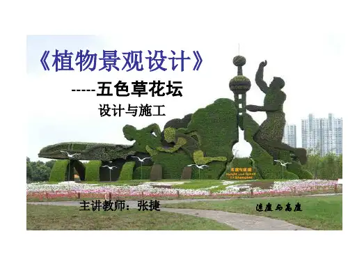 植物景观设计---五色草花坛
