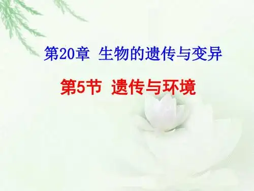 北师大版八年级上册生物  20.5 遗传与环境 课件   (共33张PPT)