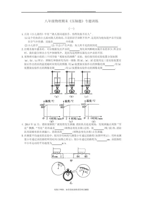 最新八年级物理期末《压轴题》专题训练(含答案)