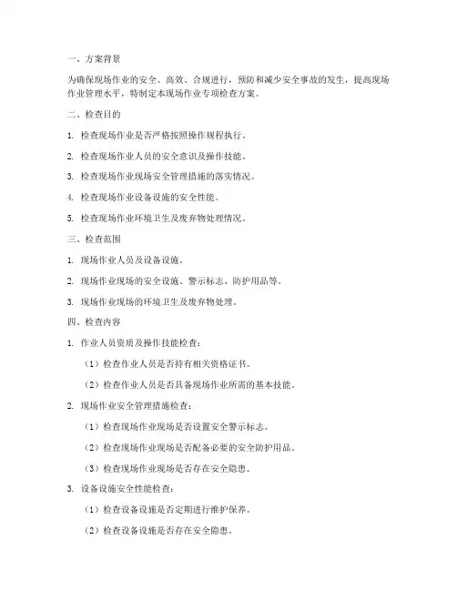 现场作业专项检查方案
