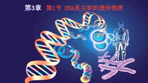DNA是主要的遗传物质(共36张PPT)