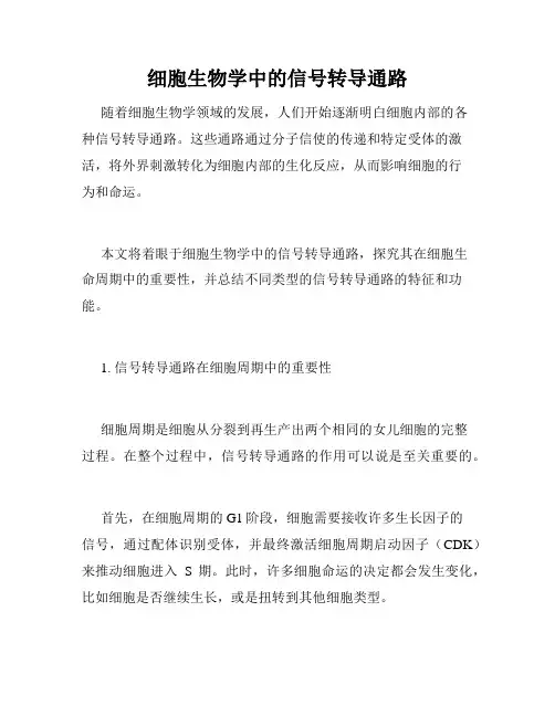 细胞生物学中的信号转导通路