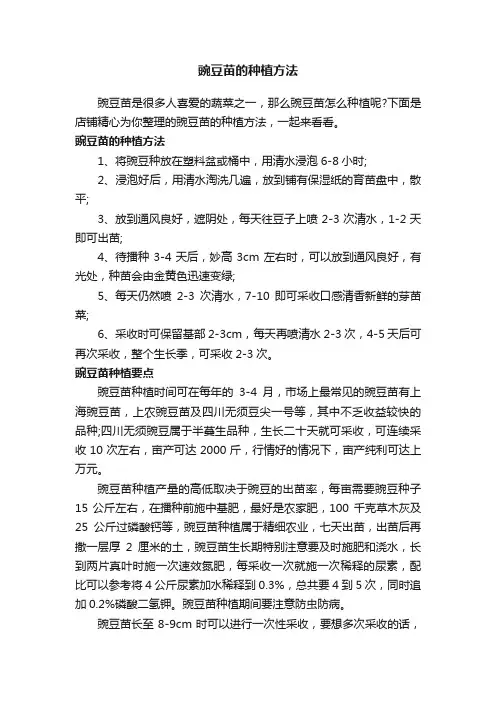 豌豆苗的种植方法