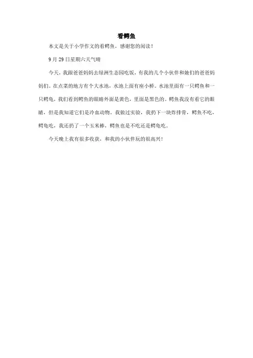 看鳄鱼_小学作文