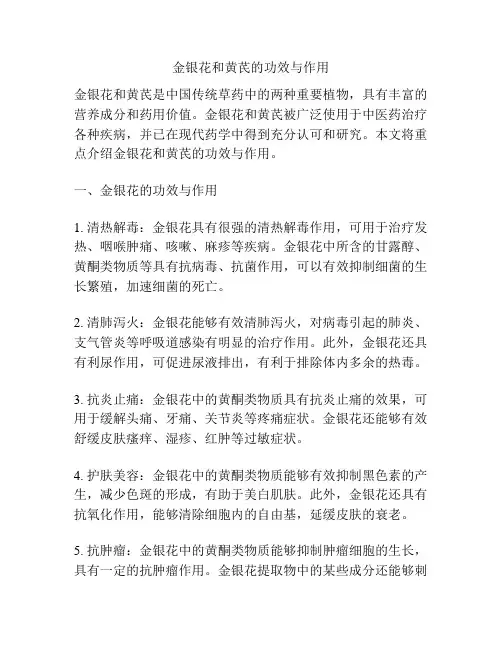 金银花和黄芪的功效与作用