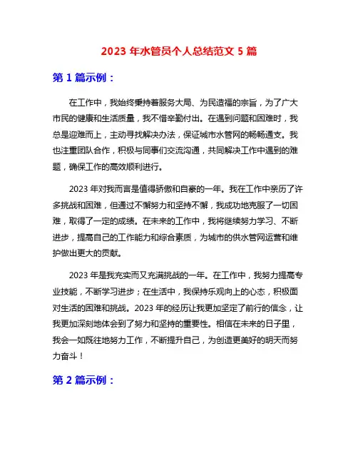 2023年水管员个人总结范文5篇