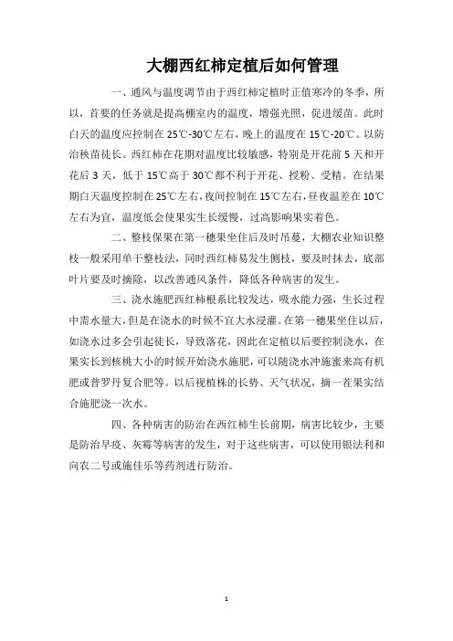 大棚西红柿定植后如何管理