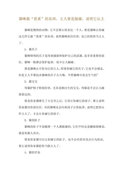 猫咪最“看重”的东西,主人要是能碰,说明它认主