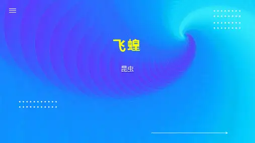 飞蝗    