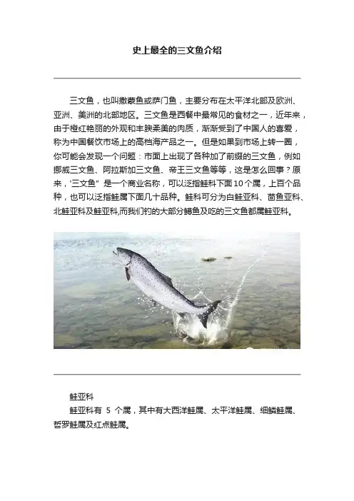 史上最全的三文鱼介绍