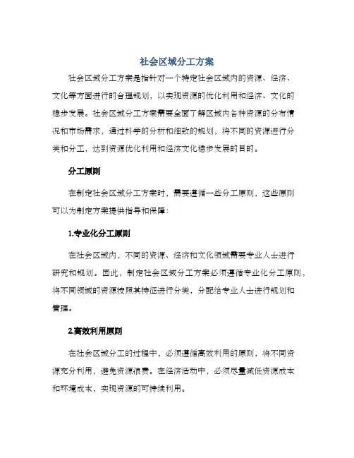 社会区域分工方案