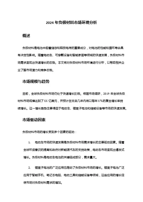 2024年负极材料市场环境分析