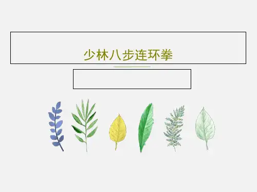 少林八步连环拳PPT文档43页