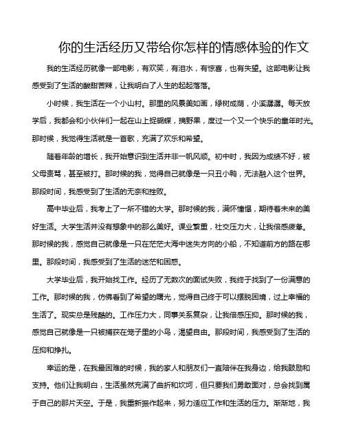 你的生活经历又带给你怎样的情感体验的作文