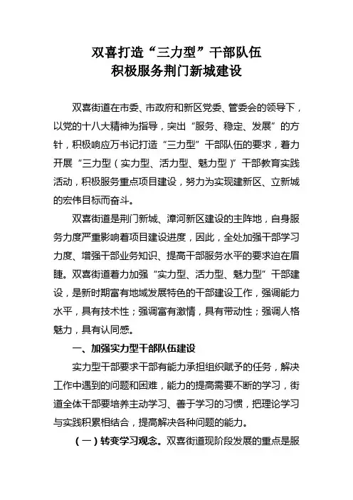 三力型干部建设 (1)