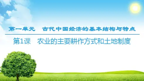 18 19 第1单元 第1课 农业的主要耕作方式和土地制度