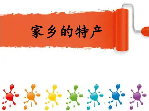 小学综合实践活动   家乡的特产