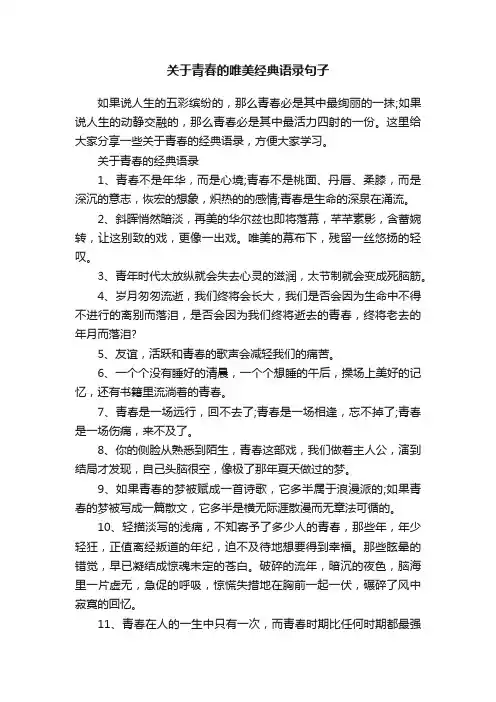 关于青春的唯美经典语录句子
