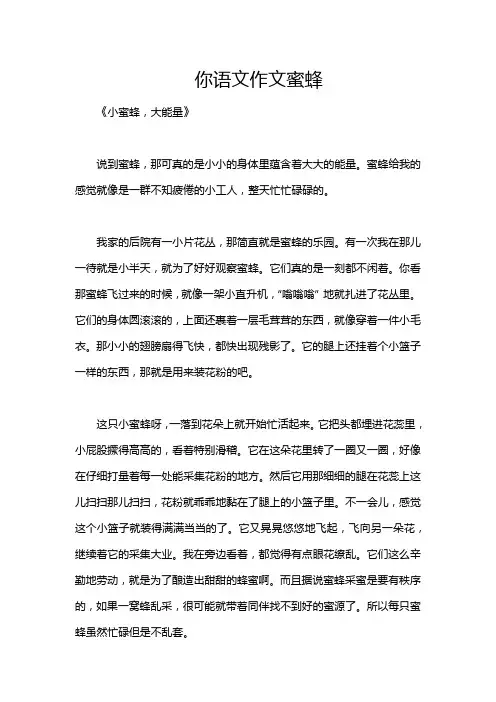 你语文作文蜜蜂