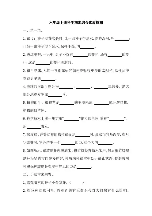 教科版小学科学六年级上册科学期末综合素质检测(含答案)