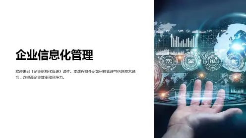 《企业信息化管理》课件
